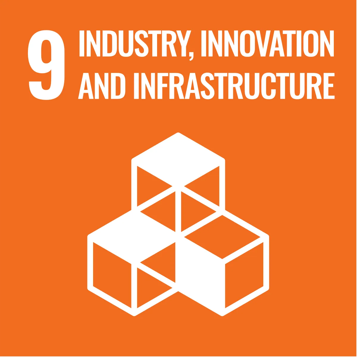 SDG 9 icon